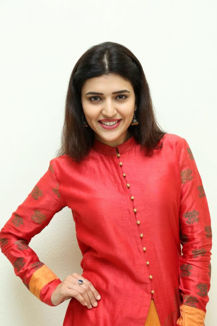 Actress Chitra Shukla Beautiful Photo Shoot In Red Dress 13